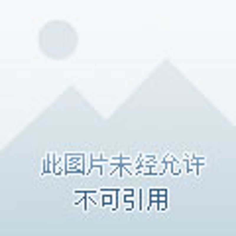 厦门软件开发行业的最新发展动态