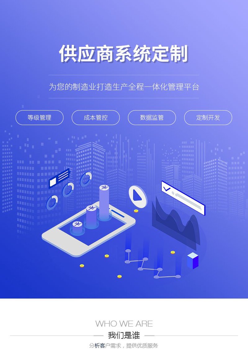 企业信息化：引领数字浪潮
